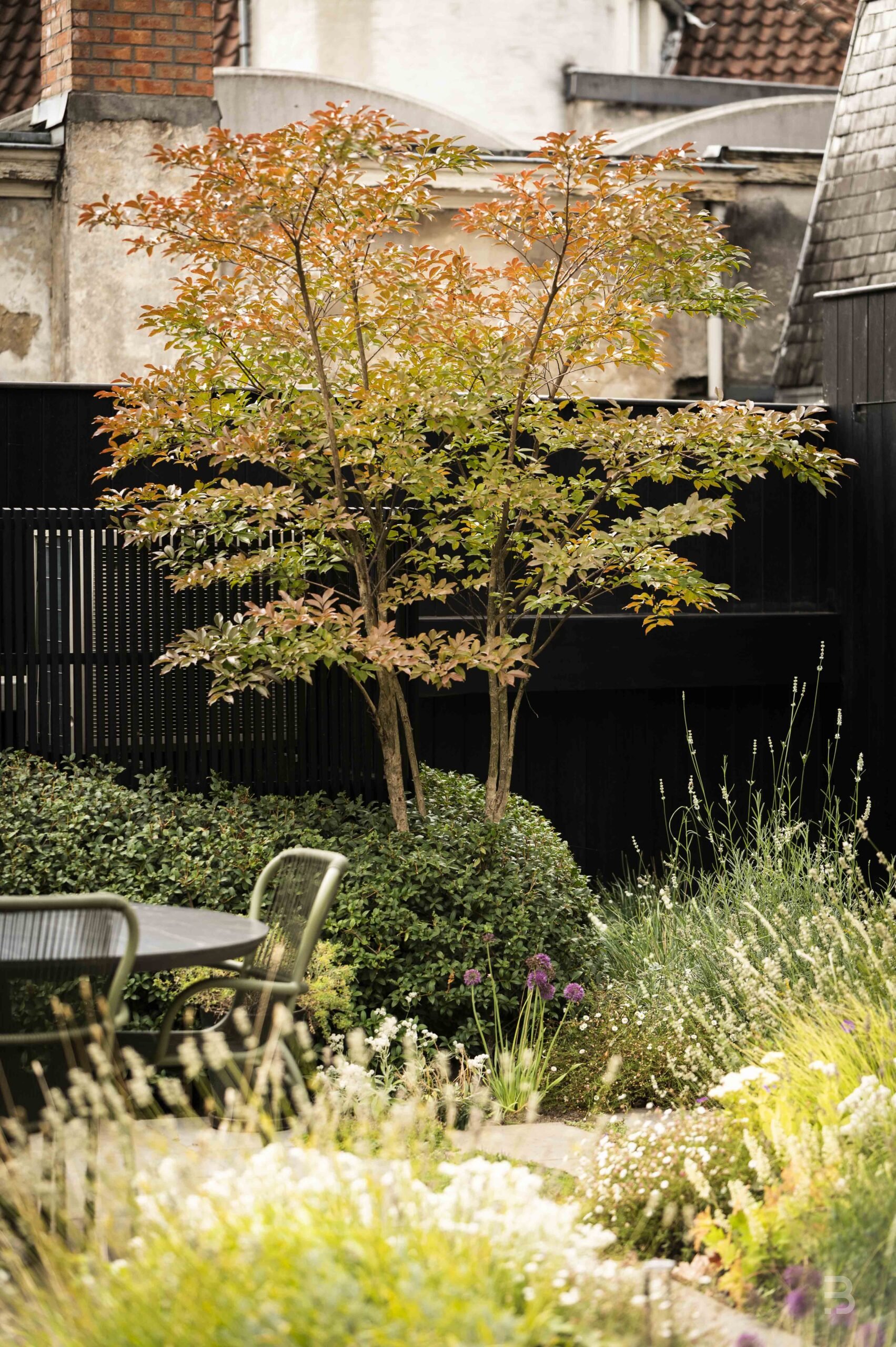 Afbeelding project Daktuin | Watertafel | Tuinkasten